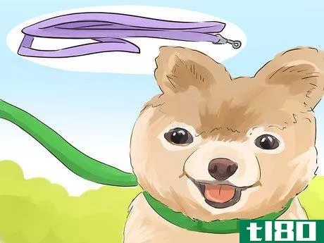 Image titled Help Your Dog Live Longer Step 10