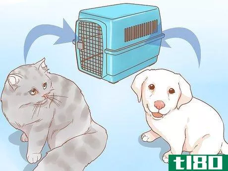 Image titled Introduce a New Puppy to the Resident Cat Step 2