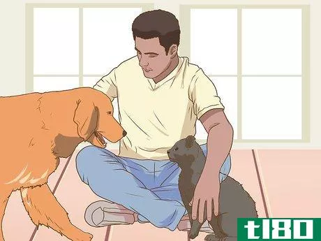 Image titled Help a Pet Grieve Step 8