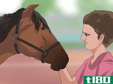 Image titled Halter a Horse Step 10