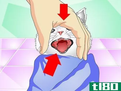Image titled Give Cats Liquid Medicine Step 6