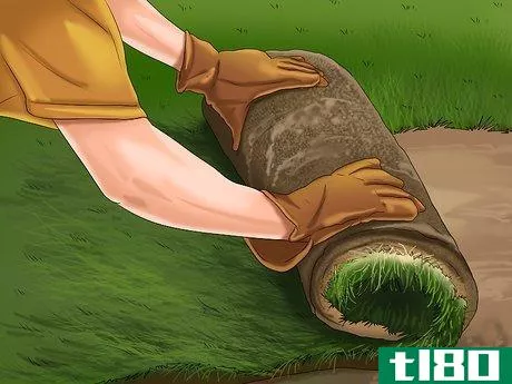Image titled Get and Maintain a Healthy Lawn Step 3