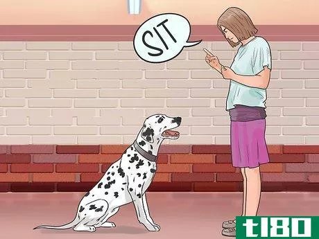 Image titled Get Your Dog to Welcome Your Baby Step 1