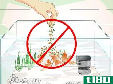 Image titled Keep Aquarium Water Clear Step 12