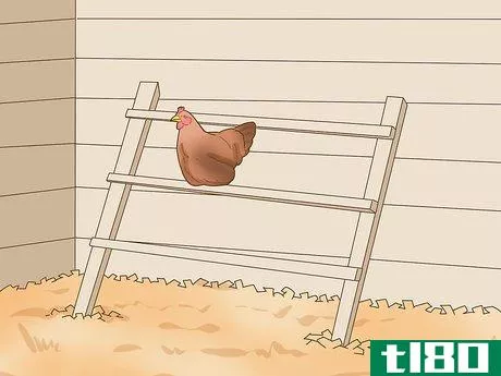 Image titled Keep a Pet Chicken Step 3