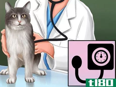 Image titled Give Amlodipine Besylate to Cats with High Blood Pressure Step 8