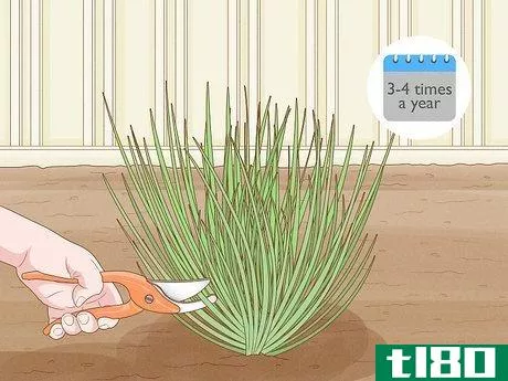 Image titled Grow Chives Step 19