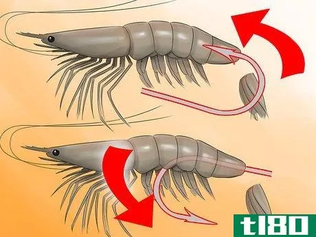 Image titled Hook a Shrimp Step 3Bullet1