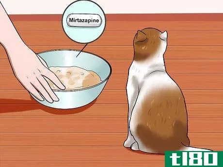 Image titled Identify if Your Cat Has Had a Stroke Step 15