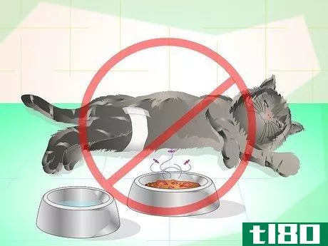Image titled Get Your Cat Spayed Step 13