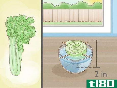 Image titled Grow Vegetables Indoors Step 1