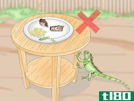 Image titled Keep Iguanas out of Your Yard or Garden Step 3