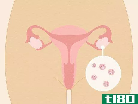 如何完成卵巢储备测试(get ovarian reserve testing done)