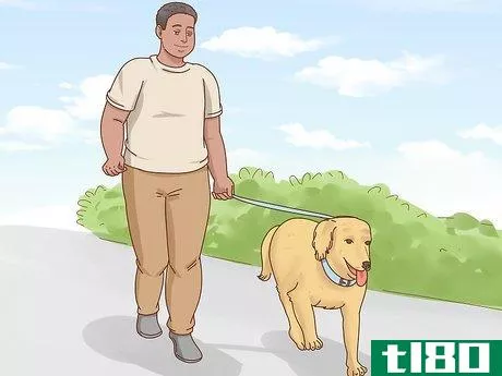 Image titled Get a Dog to Stop Eating Dirt Step 10