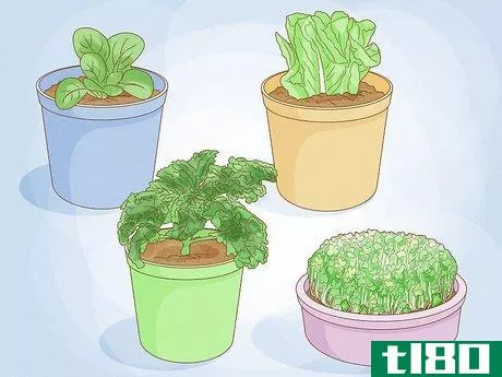 Image titled Grow Vegetables Indoors Step 7
