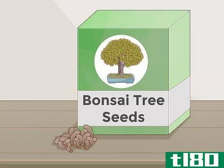 Image titled Grow and Care for a Bonsai Tree Step 2