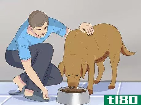 Image titled Introduce a Dog to Pet Chickens Step 2