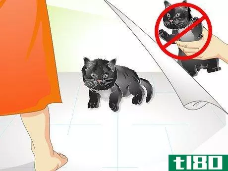 Image titled Help a New Kitten Become Familiar with Your Home Step 14