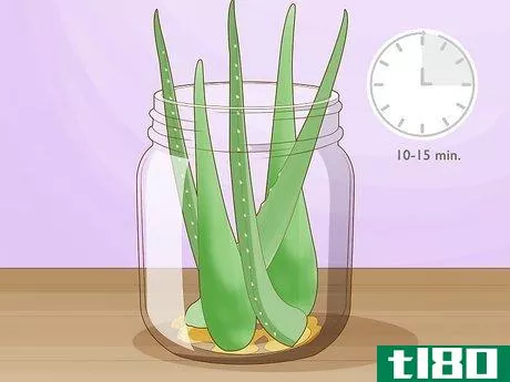 Image titled Keep an Aloe Vera Plant Fresh Step 7