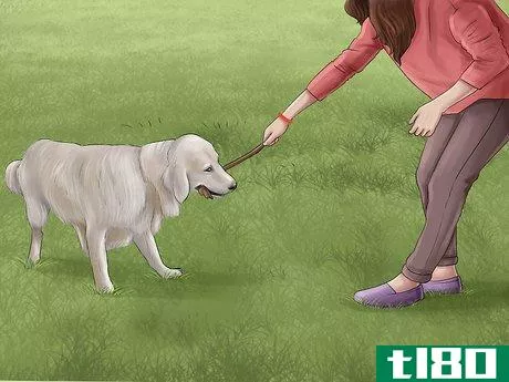 Image titled Know if You Are Ready for a Dog Step 40