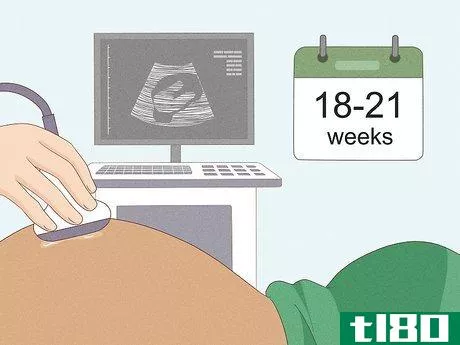 Image titled How Many Weeks Does It Take to Tell if You're Having a Boy or Girl Step 2