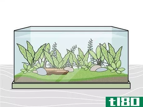 Image titled Grow Freshwater Aquarium Plants Step 5