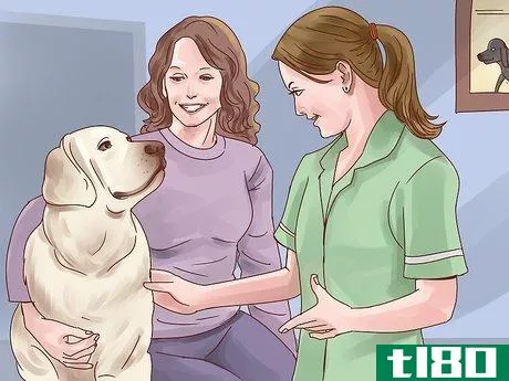 Image titled Help Your Dog Through Physical Therapy Step 4