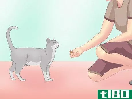 Image titled Get a Cat to Roll Over Step 5