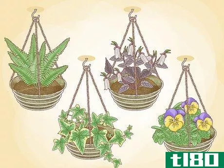 Image titled Hang Plants Step 2