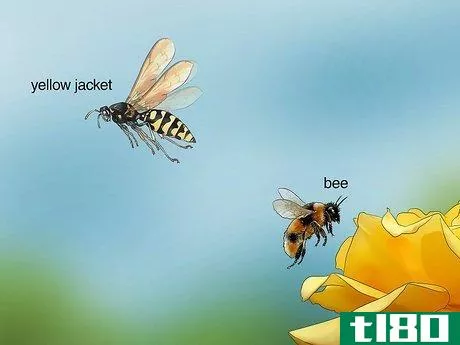 Image titled Get Rid of Yellow Jackets in the Ground Step 11