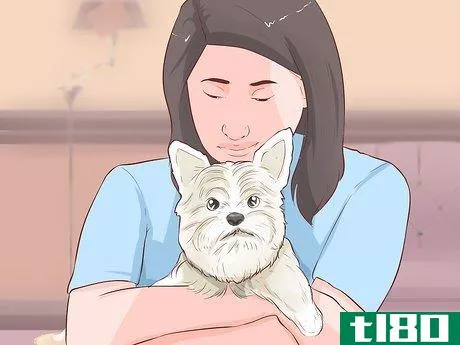 Image titled Get Another Dog After a Pet Dog's Death Step 4