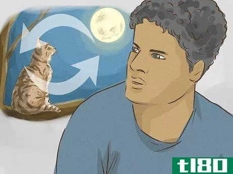 Image titled Interpret a Dream Involving Cats Step 11
