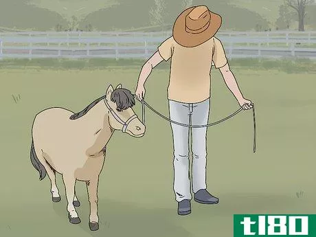 Image titled Keep a Miniature Horse Fit Step 11