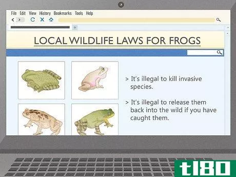 Image titled Get Rid of Frogs Step 2