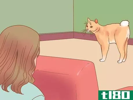 Image titled Know if Your Cat Is Afraid of Something Step 13
