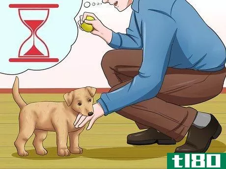 Image titled Get Your Puppy to Stop Biting Step 10