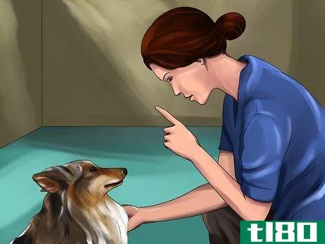 Image titled Housebreak a Dog with Positive Reinforcement Step 15
