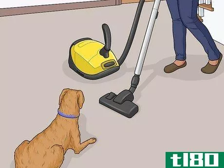 Image titled Keep a Dog from Chasing the Vacuum Cleaner Step 9