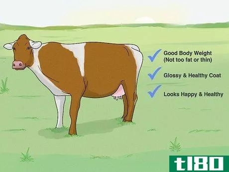 Image titled Increase Dairy Milk Production Step 9
