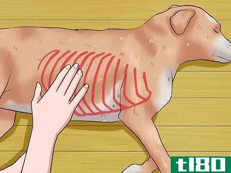 Image titled Help Your Dog Lose Weight Step 2
