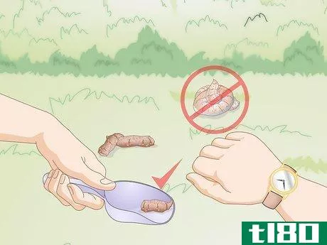 Image titled Get a Fecal Sample from Your Dog Step 5