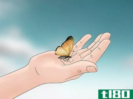 Image titled Hold a Butterfly Step 12