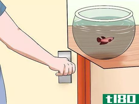 Image titled Keep Fish when You Have Cats That Like to Hunt Step 13