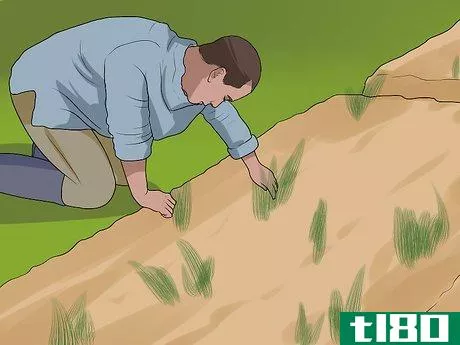 Image titled Improve Your Health by Gardening Step 3