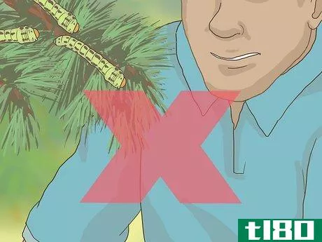 Image titled Keep Your Christmas Tree Fresh Longer Step 5