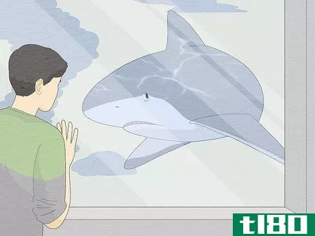 Image titled Get over Your Fear of Sharks Step 11