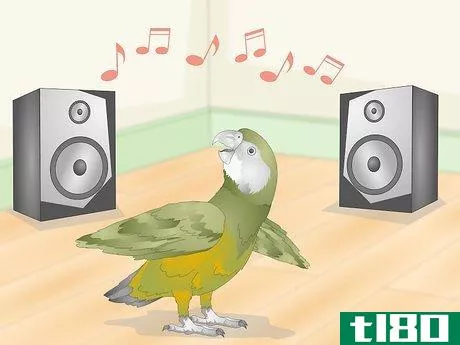 Image titled Keep a Senegal Parrot Entertained Step 12
