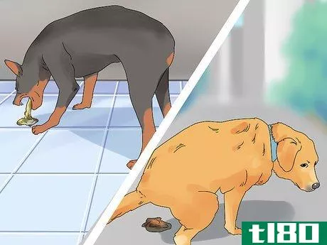 Image titled Give a Dog Benadryl Step 4