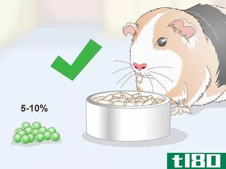 Image titled Give Your Guinea Pig Treats Step 9