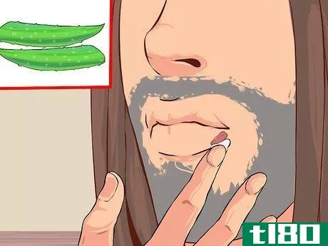 Image titled Grow and Use Aloe Vera for Medicinal Purposes Step 10